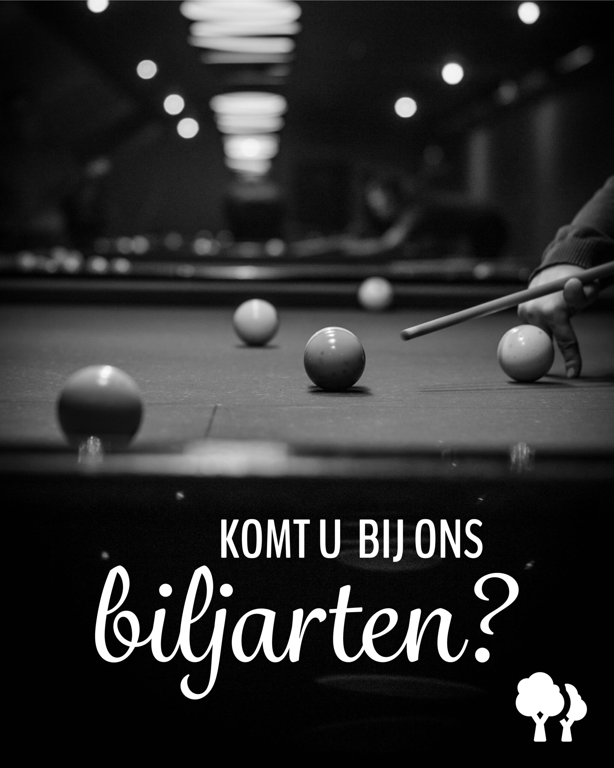 Liesbosch_biljarten 2_SM-04 (1)