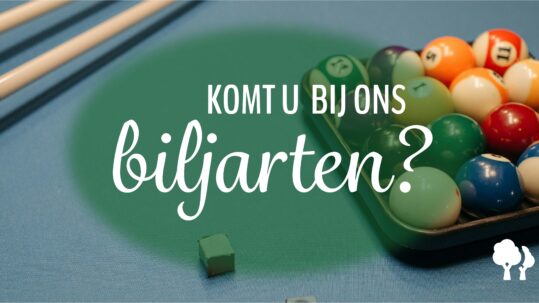 Liesbosch_biljarten 3_website-03