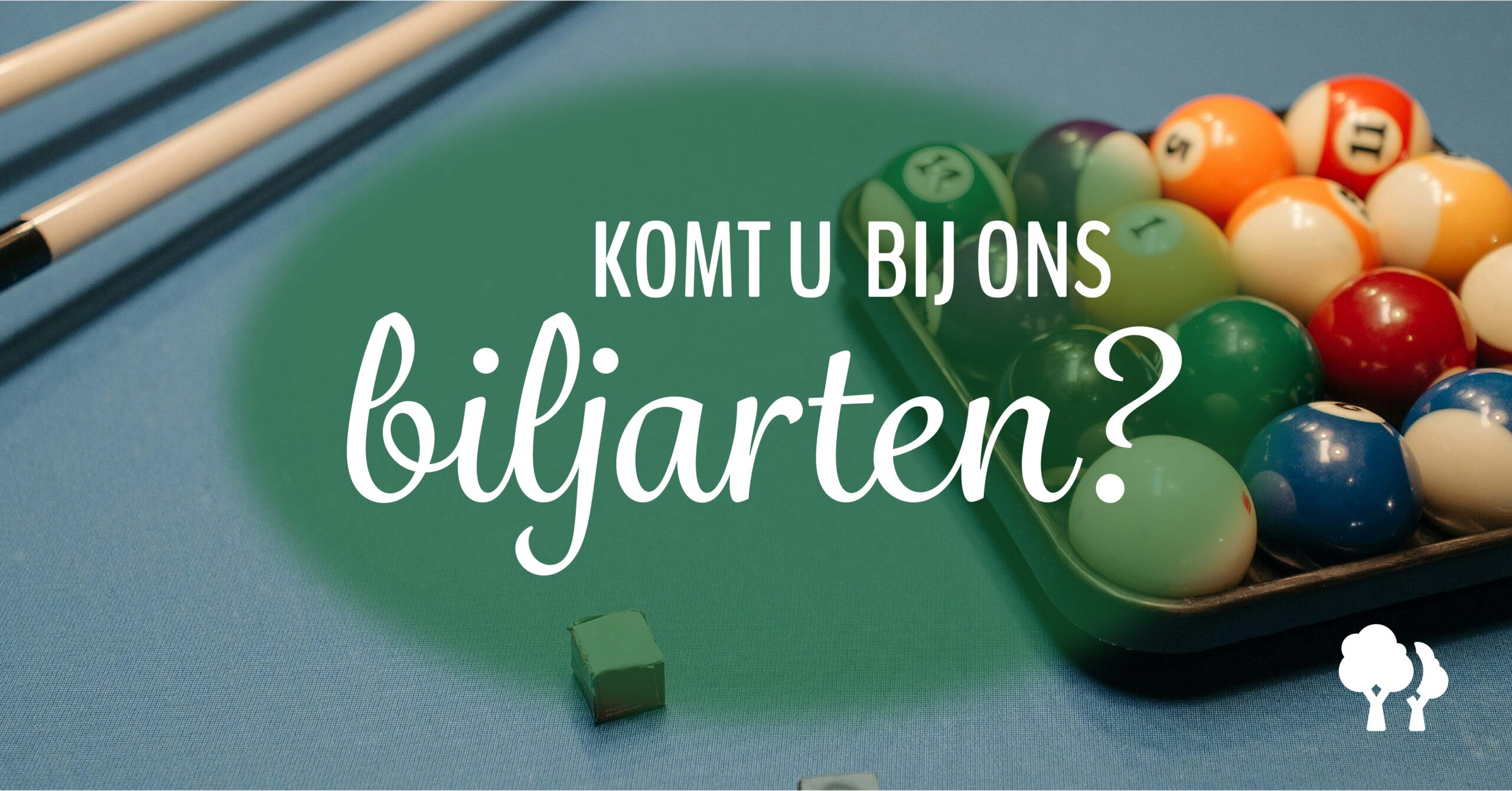 Liesbosch_biljarten 3_website-03